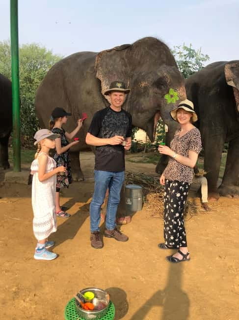 Jaipur: Elephant Interaction Tour - Painting on Elephants: Natural Colors and a Hands-On Memory