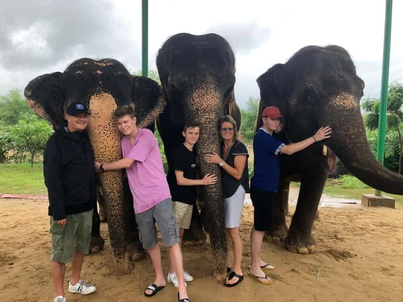 Jaipur: Elephant Interaction Tour - Elephant Washing and Shower: What the Lake Rule Means