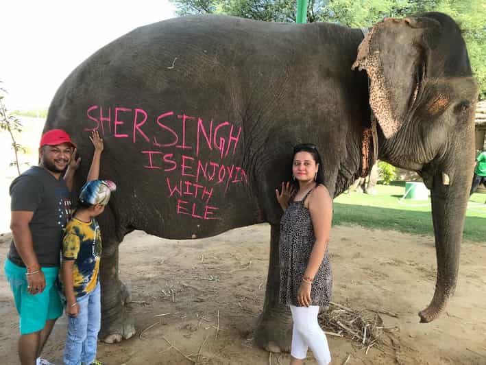 Jaipur: Elephant Interaction Tour - The 4-Hour Flow, From Pickup to Elephant Village Time