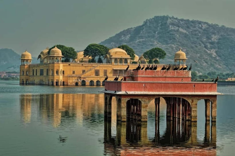Jaipur: Explore Amber, Jaigarh & Nahargarh Fort with Sunset - Lunch break at a local restaurant: plan for your own meal
