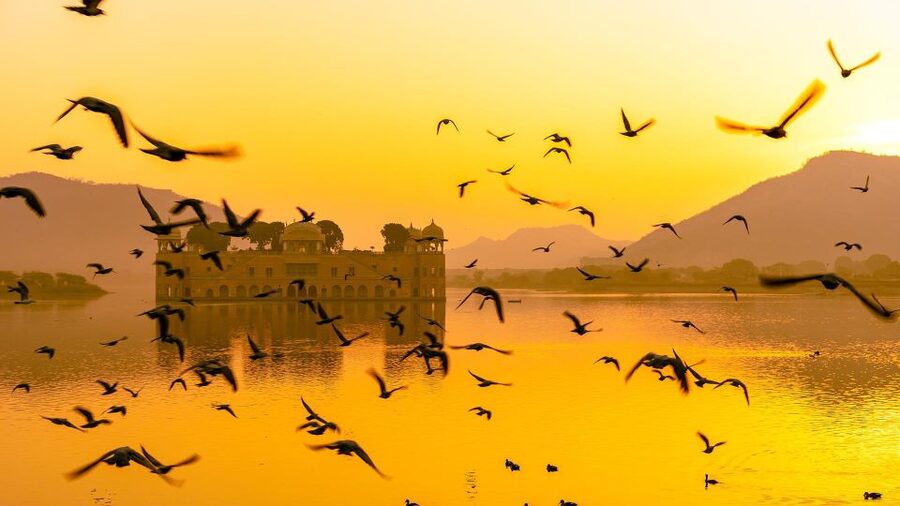 Jaipur: Full-Day Private Sightseeing Tour by Tuk Tuk - Gaitor Ki Chhatriyan: A Quiet Stop That Changes the Mood