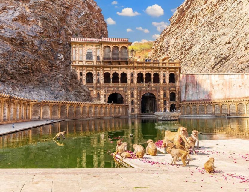 Jaipur: Full Day Sightseeing Tour By Car & Local Tour Guide - Price, comfort, and the guide factor (why $8 can feel like a bargain)
