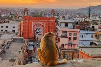 Jaipur Full Day Tour By Car And Guide With Hotel Pickup
