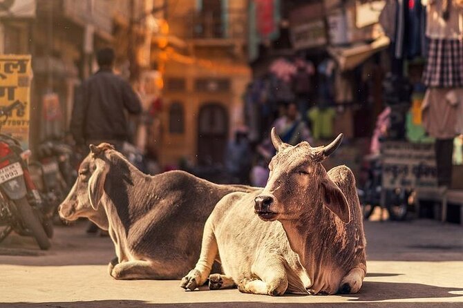 Jaipur Full Day Tour By Car And Guide With Hotel Pickup - Pink City Bazaars and Jaipur Block Printing for a Real Souvenir Moment