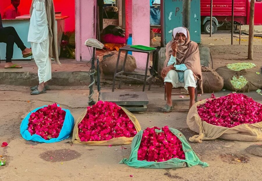 Jaipur: Half-Day Guided Sightseeing Tour with Flower Market - Key highlights you’ll actually feel