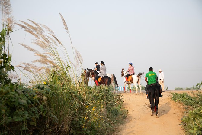 Jaipur Horse Riding Adventure - The 6:30am start and where to meet