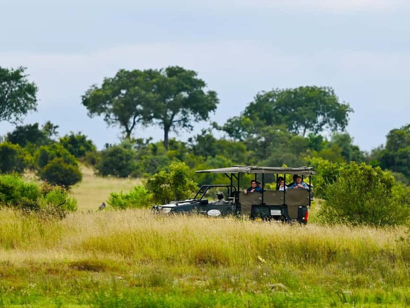 Jaipur: Jhalana Amagarh Leopard Reserve 4×4 Jeep Safari - The 4x4 jeep safari: how to ride, how to photograph, and what space feels like