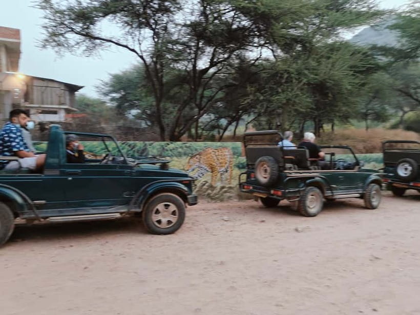 Jaipur: Jhalana Amagarh Leopard Reserve 4×4 Jeep Safari - Morning vs sunset strategy: what to do when cats hide