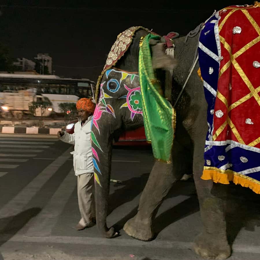 Jaipur: Night Tuk-Tuk Tour With Friendly Local Driver - Wedding processions and other night surprises