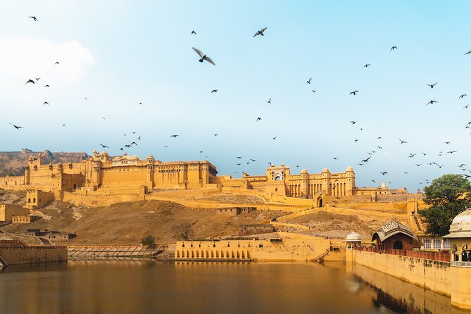 Jaipur Pink City Private Day Trip from Delhi with transfer - The Road Trip Start: Pickup Timing and the Ride to Jaipur