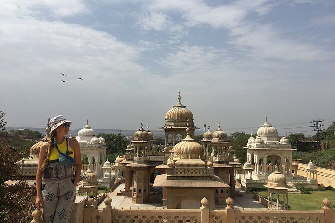 Jaipur Private Full-Day Sightseeing Tour with Optional Guide - Amer Palace and Fort, plus Panna Meena ka Kund