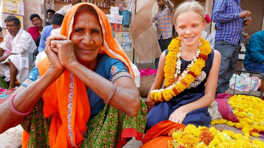 Jaipur: Private Full-Day Tour of the Heritage Pink City - Logistics that matter in real life