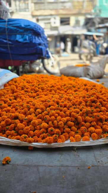Jaipur: Private Guided Half Day Tour in Jaipur - Amber Fort (Amer Fort): The Main Event and the Best Photo Angles