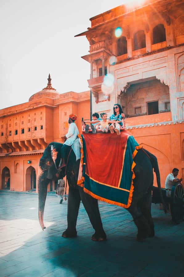 Jaipur: Private PinkCity & Stepwell Heritage Tour with Guide - Panna Meena ka Kund Stepwell: A 30-Minute Engineering Lesson