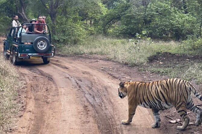 Jaipur Ranthambore Full Day Private Tour - What gets included in your day: the comfort details that matter