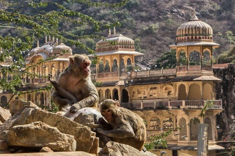Jaipur sightseeing tour with monkey temple (Galta ji temple) - Shopping in Jaipur: make it part of your day, not a last-minute scramble