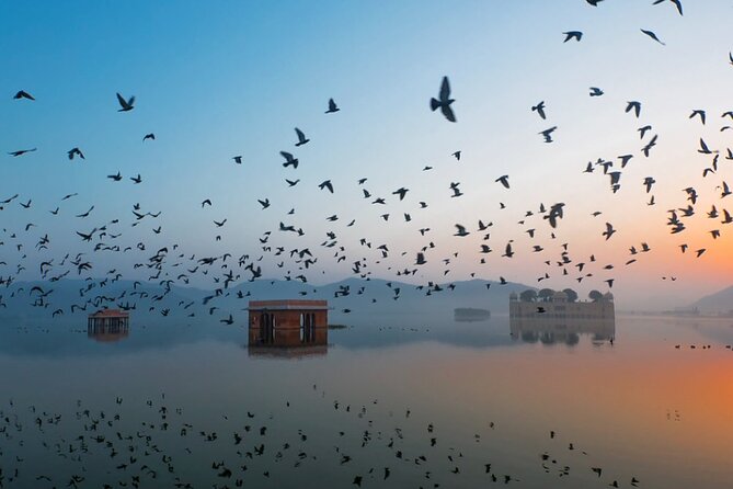 Jaipur Sunrise Tour with Morning Flower Market Walk - Sunrise at Jal Mahal, Jaipur’s Water Palace View