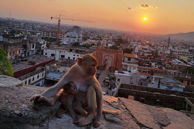 Jaipur Tuk Tuk Sightseeing Tour with Monkey Temple Sunset View - Hawa Mahal and Jantar Mantar: the Pink City’s two signature “wow” stops