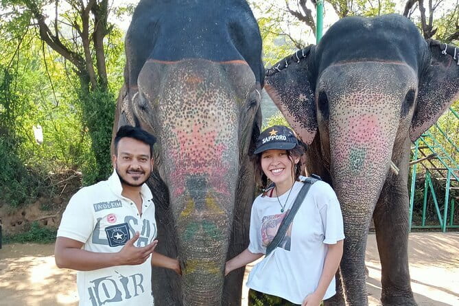 Jaipur Tuktuk Local Sightseeing Day Tour - Why a private tuk-tuk day works so well in Jaipur