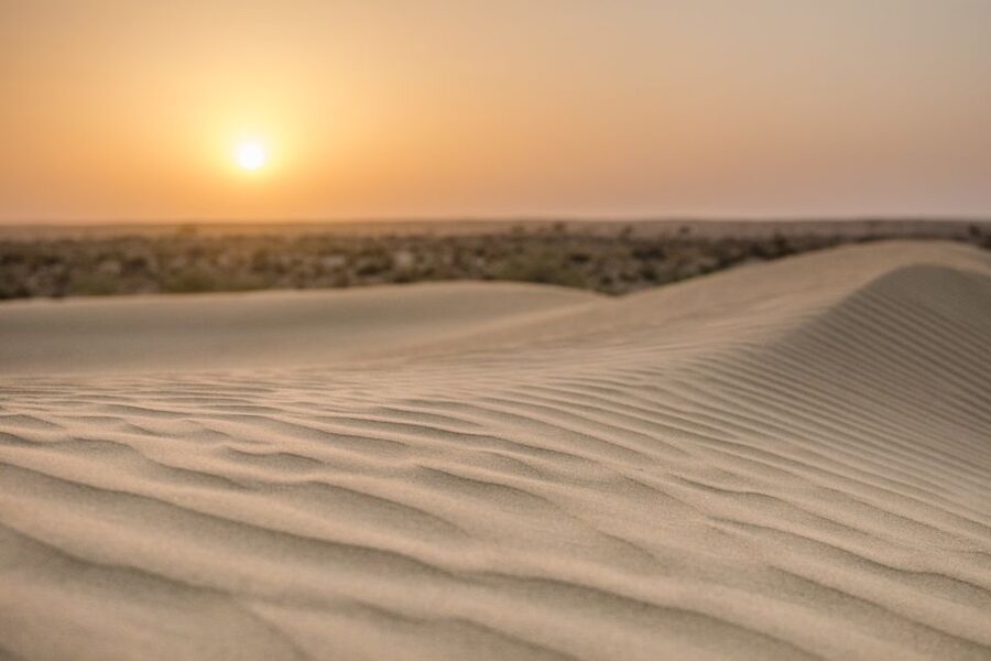 Jaisalmer: 2-Day Thar Desert Experience - Your second morning: sunrise tea, breakfast, and the return