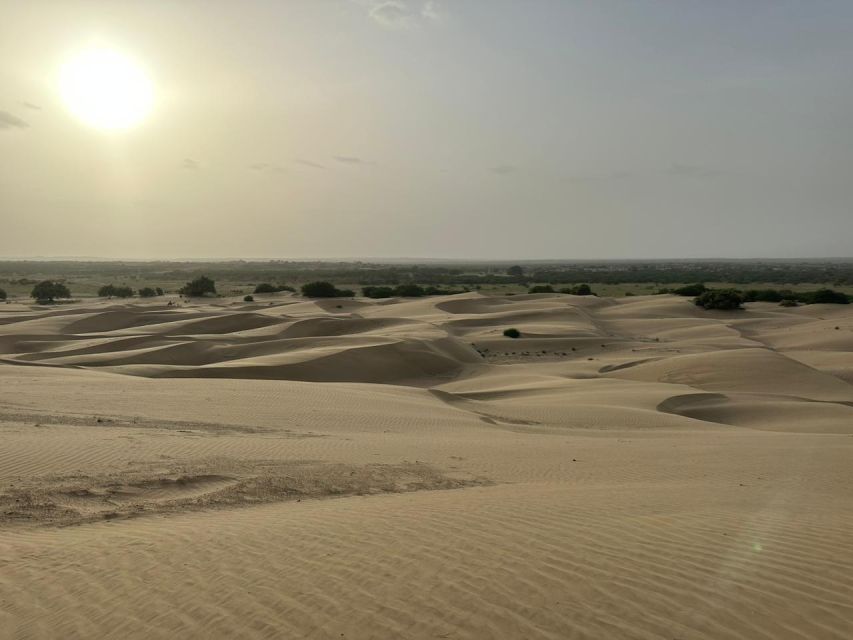 JAISALMER : DESERT EXPERIENCE SLEEPING UNDER THE STAR - Why sleeping under Thar stars feels different near Jaisalmer