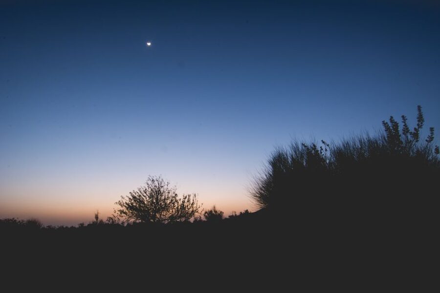 Jaisalmer: Romantic Night with Luxury Desert Camping - Thar Desert time: camel rides, dune sunset, and the best kind of quiet