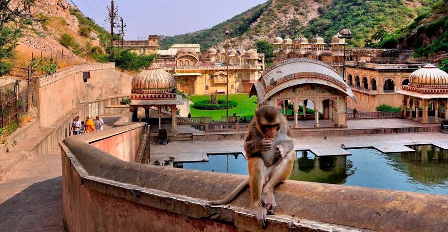 Jodhpur: Blue City Walking Tour - Chandpole Gate to Blue City mode: how the tour starts