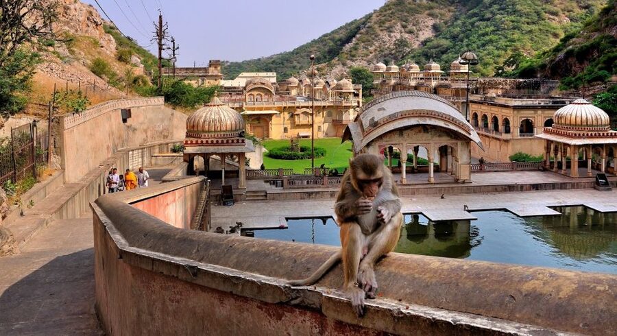 Jodhpur: Blue City Walking Tour - Ranisar Lake inside the city walls: a quieter break