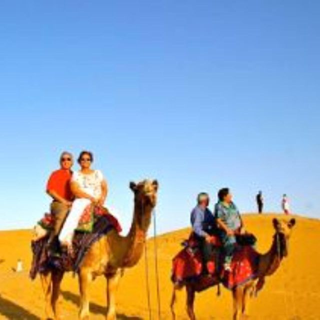 Jodhpur Camel & Jeep Safari with Sunset, Folk Dance, Dinner - Key things I’d make sure you notice