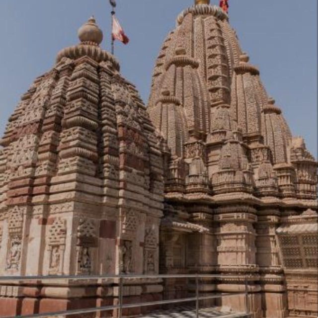 Jodhpur Camel & Jeep Safari with Sunset, Folk Dance, Dinner - Camel safari with Jiga: slow desert time you can actually enjoy