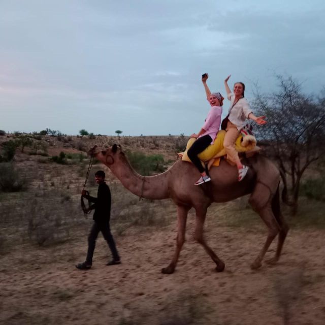 Jodhpur Camel & Jeep Safari with Sunset, Folk Dance, Dinner - Sunset over the Thar Desert dunes: the moment the day is for