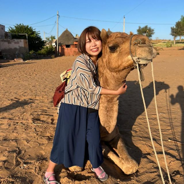Jodhpur: Desert Camel and Jeep Safari with Traditional Food - Key highlights you should care about
