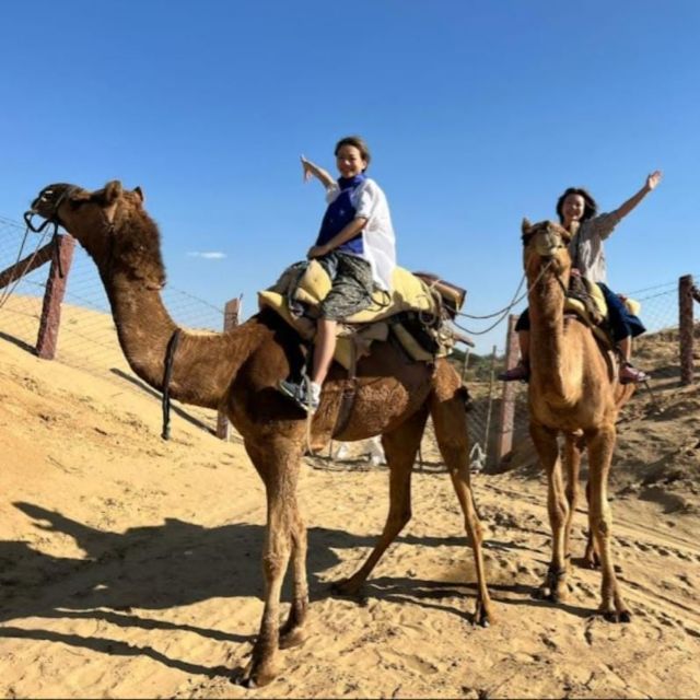 Jodhpur: Desert Camel and Jeep Safari with Traditional Food - Camel Safari in the Thar, the 40 to 70 Minute Sweet Spot