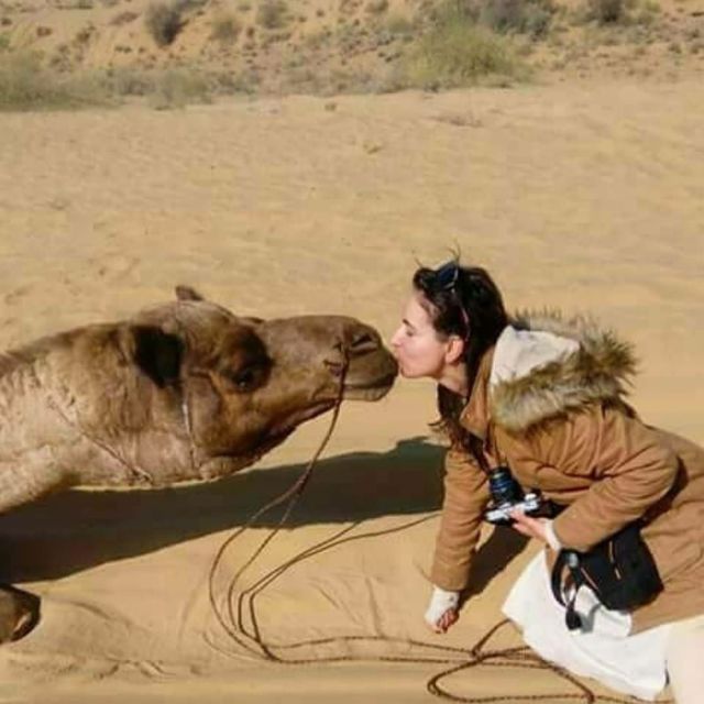 Jodhpur: Desert Camel and Jeep Safari with Traditional Food - Value and Price: Is $22 Actually Good Here?