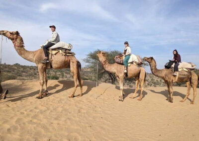 Overnight Stay in Desert with Camel Safari