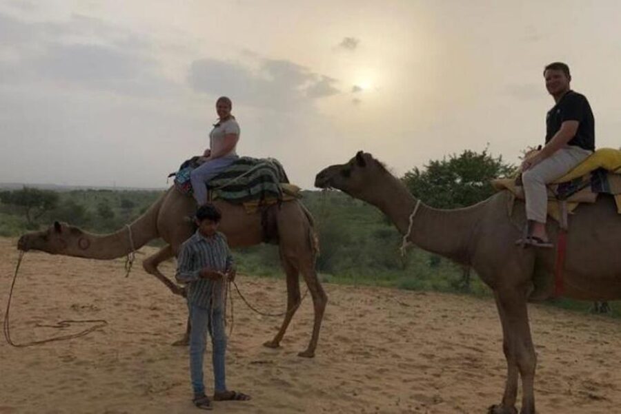 Jodhpur: Overnight Stay in Desert with Camel Safari - The camel safari: timing, what to expect, and how to enjoy it