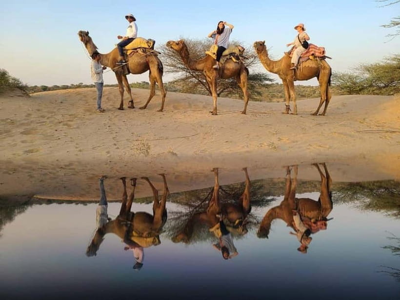 Jodhpur: Overnight Stay in Desert with Camel Safari - Who should book this overnight camel safari