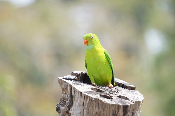 Kalapathar Sunrise, Birdwatching and Village Tour - Walking the Beach to Village to Forest Route