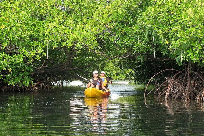 Kalapathar Sunrise, Birdwatching and Village Tour - Meeting point reality: Kala Pathar Beach SH5