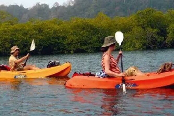 Kalapathar Sunrise, Birdwatching and Village Tour - Who should book this tour, and who might not love it