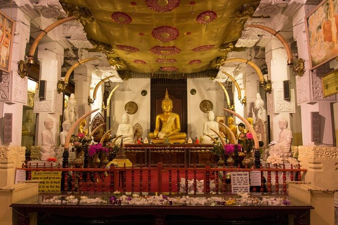 Kandy Day trip from Kalutara Beruwala Bentota Aluthgama Wadduwa - Key points to know before you go