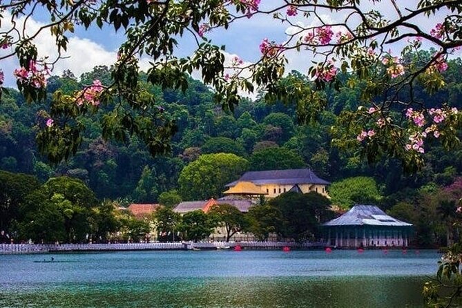Kandy Day trip from Kalutara Beruwala Bentota Aluthgama Wadduwa - Your private ride from Kalutara, Beruwala, Bentota, Aluthgama, and Wadduwa