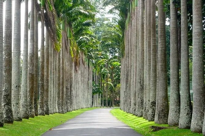 Kandy Day trip from Kalutara Beruwala Bentota Aluthgama Wadduwa - Kandy Lake stroll, cool breeze and quiet views