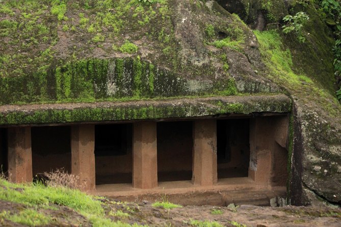 Kanheri Caves and Sanjay Gandhi National Park - Kanheri Caves: 109 rock-cut rooms carved for monks