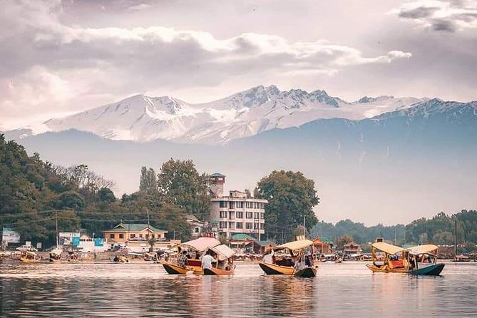 Kashmir Family Tour - 07 Days Includes Accommodation and Private Transport - Price and logistics: what you pay for, and what you get back