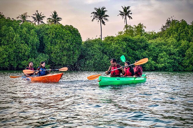 Kayaking in Mangrove Forest of Paravur Backwaters near Varkala and Kollam - Mangoes, Mangroves, and Small Canals: The Heart of the Trip