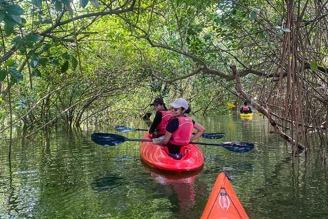 Kayaking in Mangrove Forest of Paravur Backwaters near Varkala and Kollam - The 4-Hour Route, in Plain Language, With Real Timing Targets