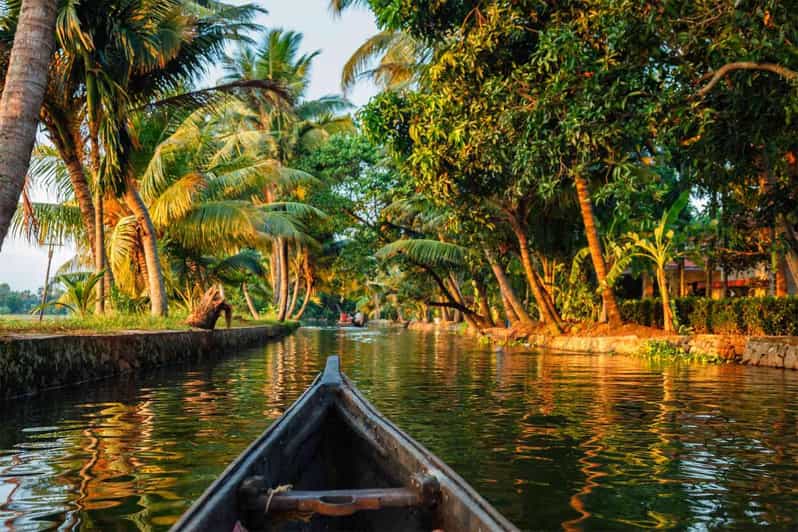 Kerala: Alappuzha River Cruise with Village Walk - Practical tips for a smoother shikara ride