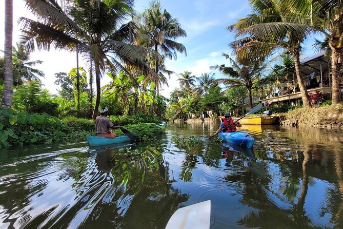 Kerala Backwater Village Kayaking Tour: Alleppey - Open-water swimming in Kainakary: simple rules for staying comfortable