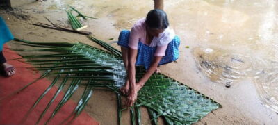 Backwater Exploration in Village: Free Pickup & Drop